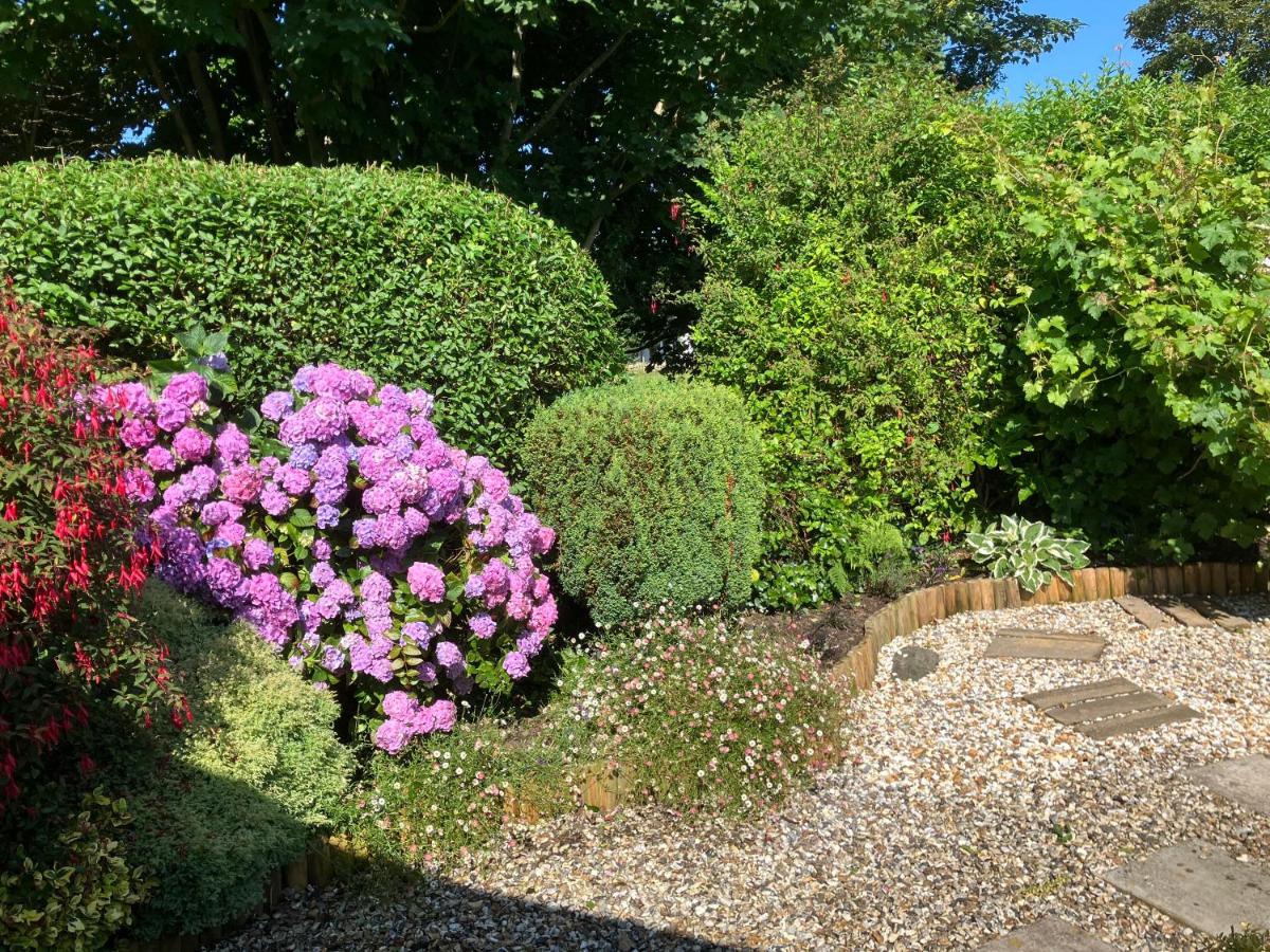 Cosy Cottage with Quiet Garden - Bed and Breakfast Edern