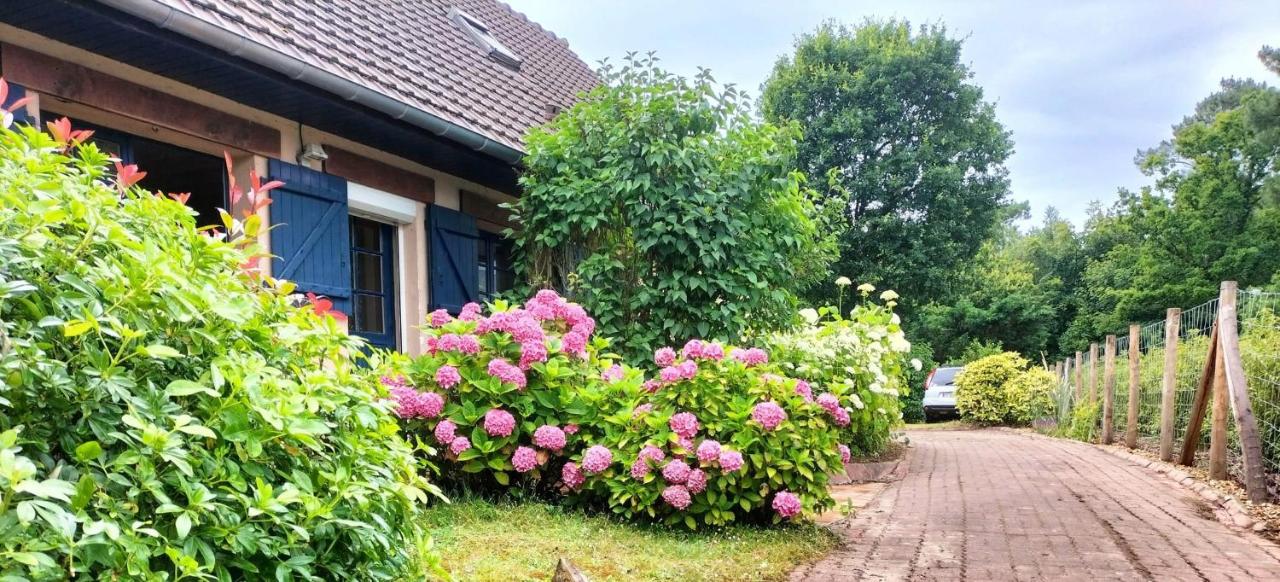 Beautiful villa touquettoise near the golf - Ferienwohnung