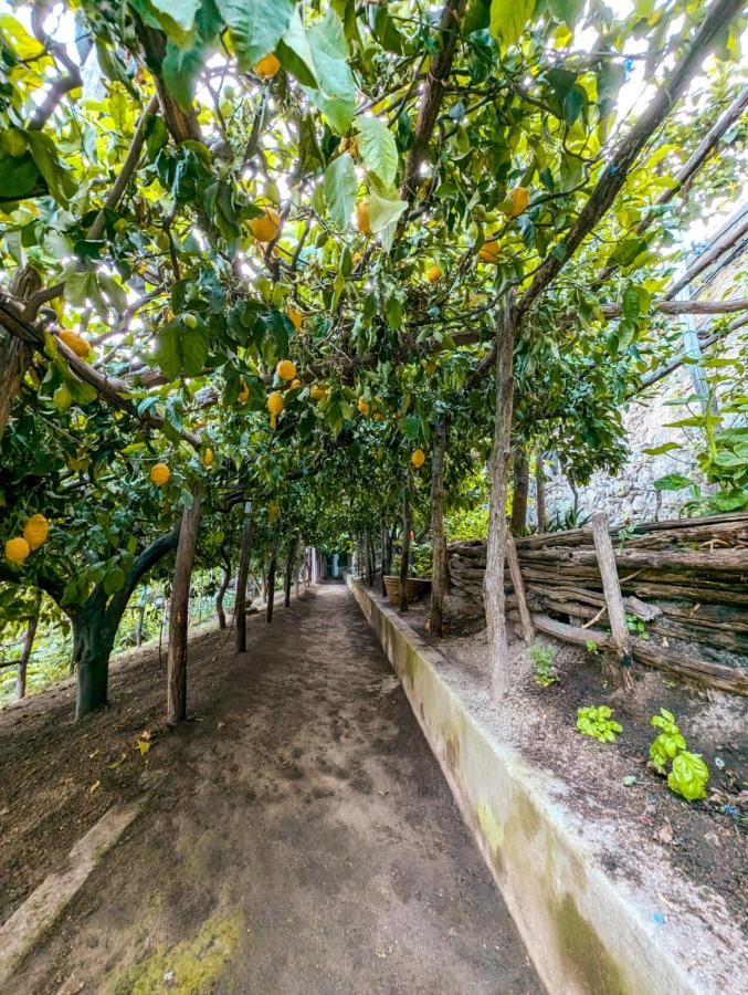 Casa Emi - B&B Amalfi