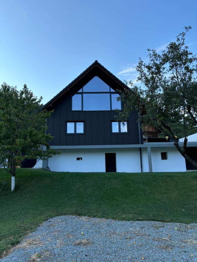 Panoramic Chalet Transalpina - B&B Şugag