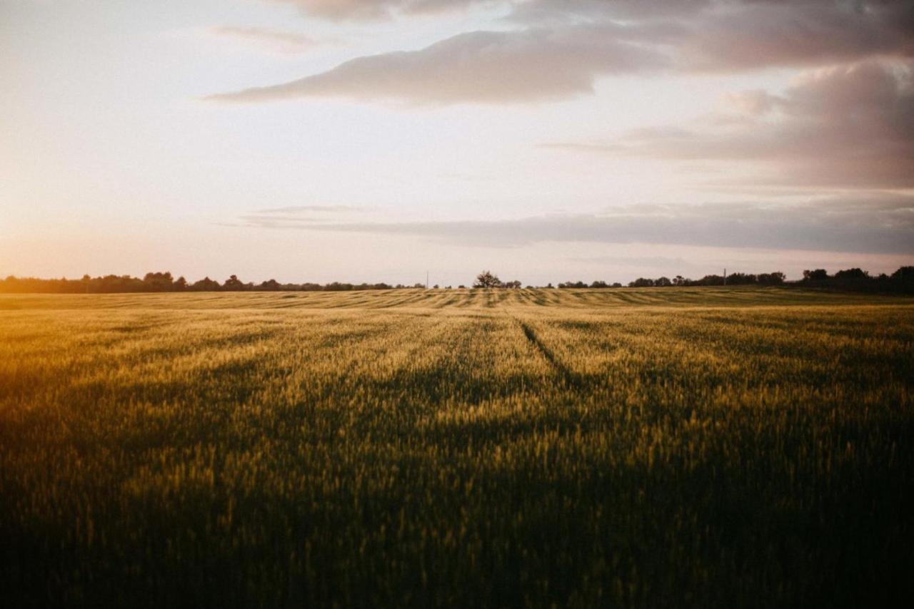 Gite au calme l'eclaircie - B&B Régusse