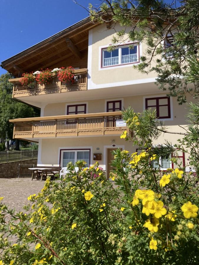 Appartamenti Renata Weiss - B&B Vigo di Fassa