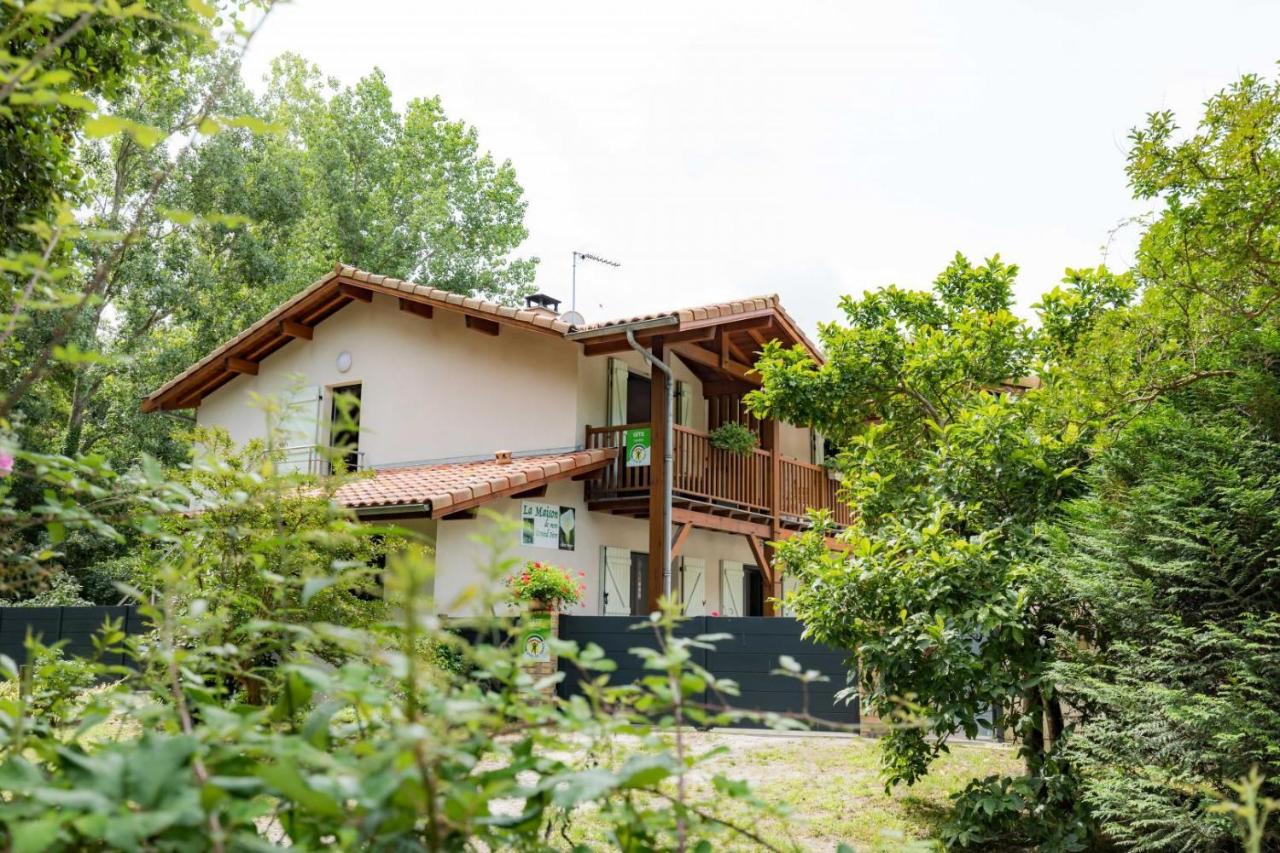 La maison de grand-pere, appt cote lac - Ferienwohnung Léon