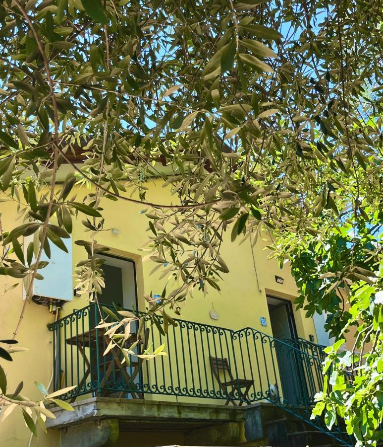 Casa Olive 53 Mare - B&B