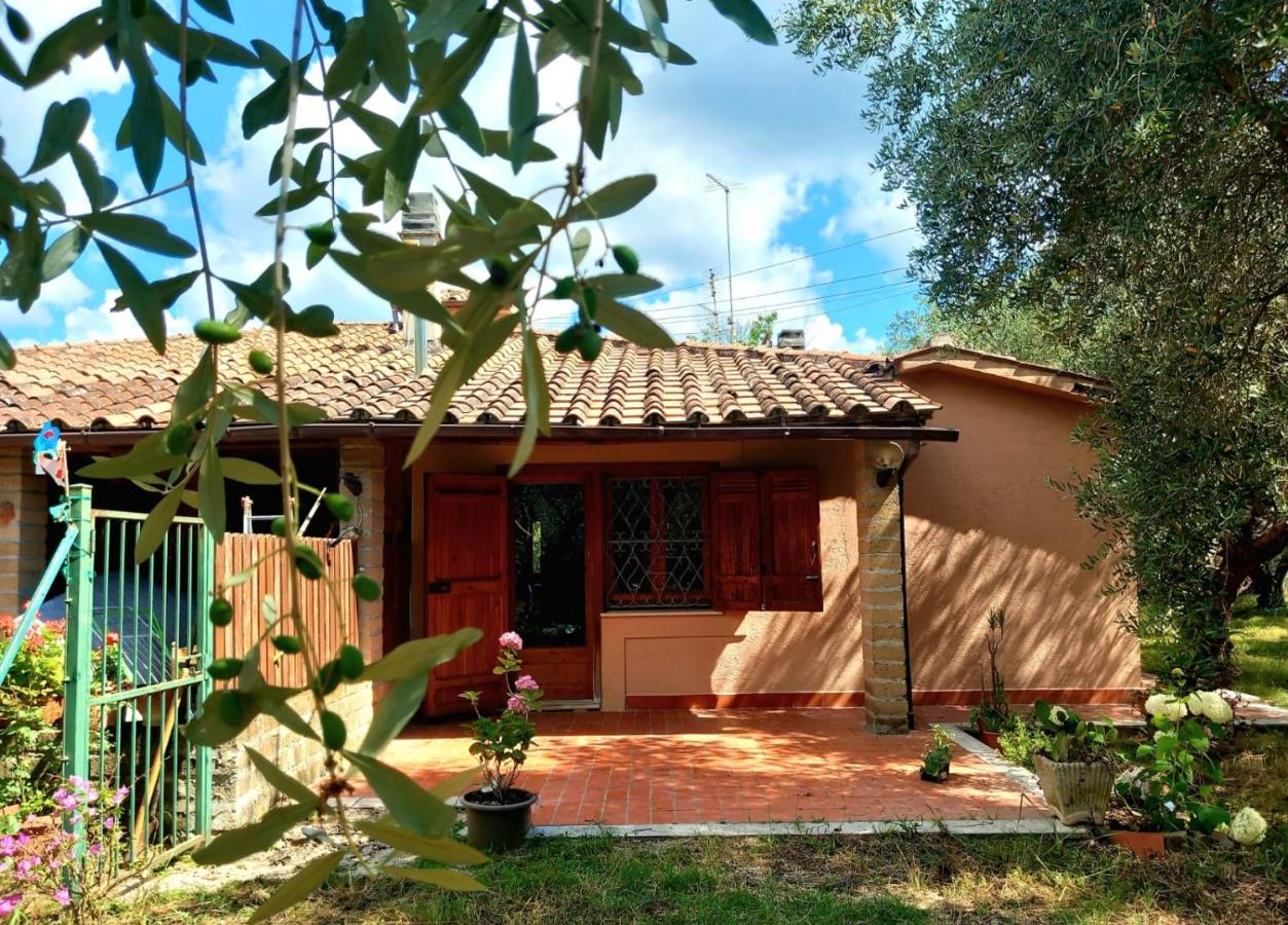 all'ombra degli olivi - Bed and Breakfast Pisciarelli