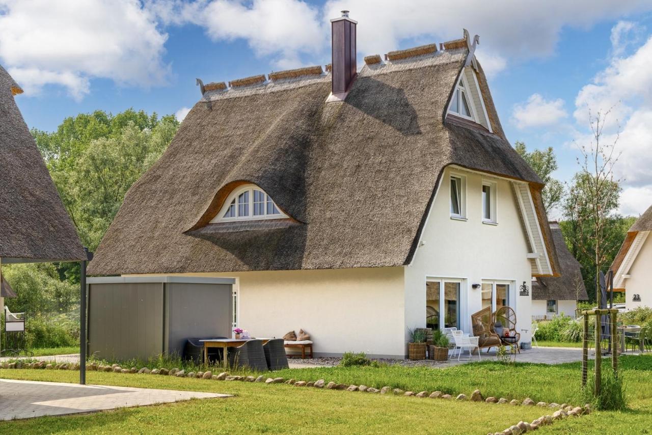 Wanderfalke - Ferienhaus mit Kamin und Sauna für 8 Personen - Chambres d'hôtes Pepelow