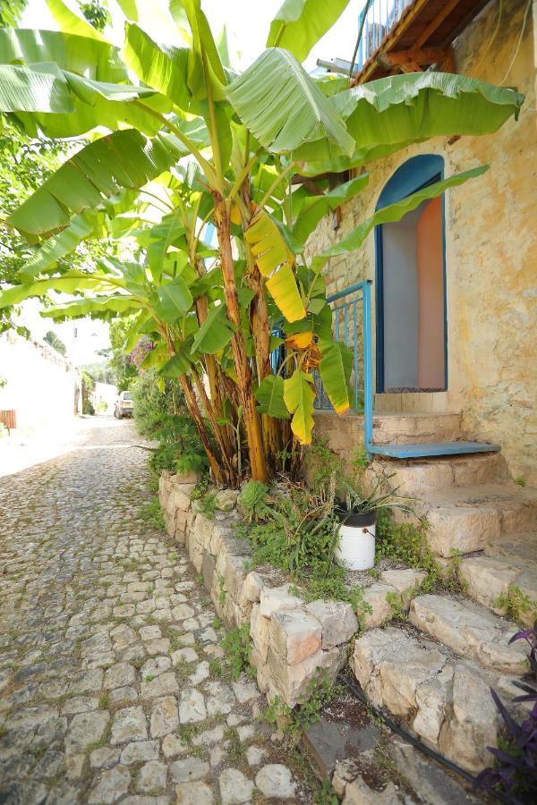 Blue Stone - Bed and Breakfast Rosh Pinna