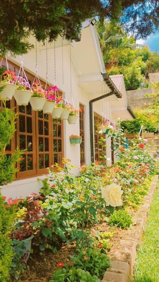Silver Rose Holiday Home - B&B Nuwara Eliya