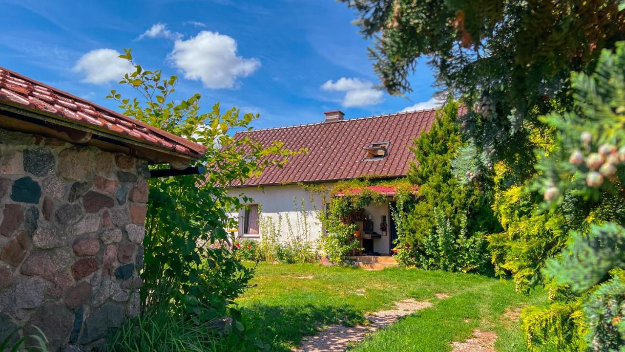 Wiejski Apartament Sosna i Wilk - agroturystyka - Bed and Breakfast