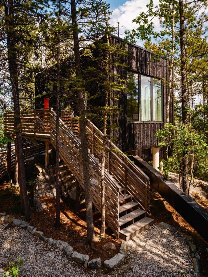 Black Spruce - Orange Door - B&B