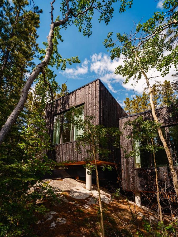 Black Spruce - Yellow Door - B&B
