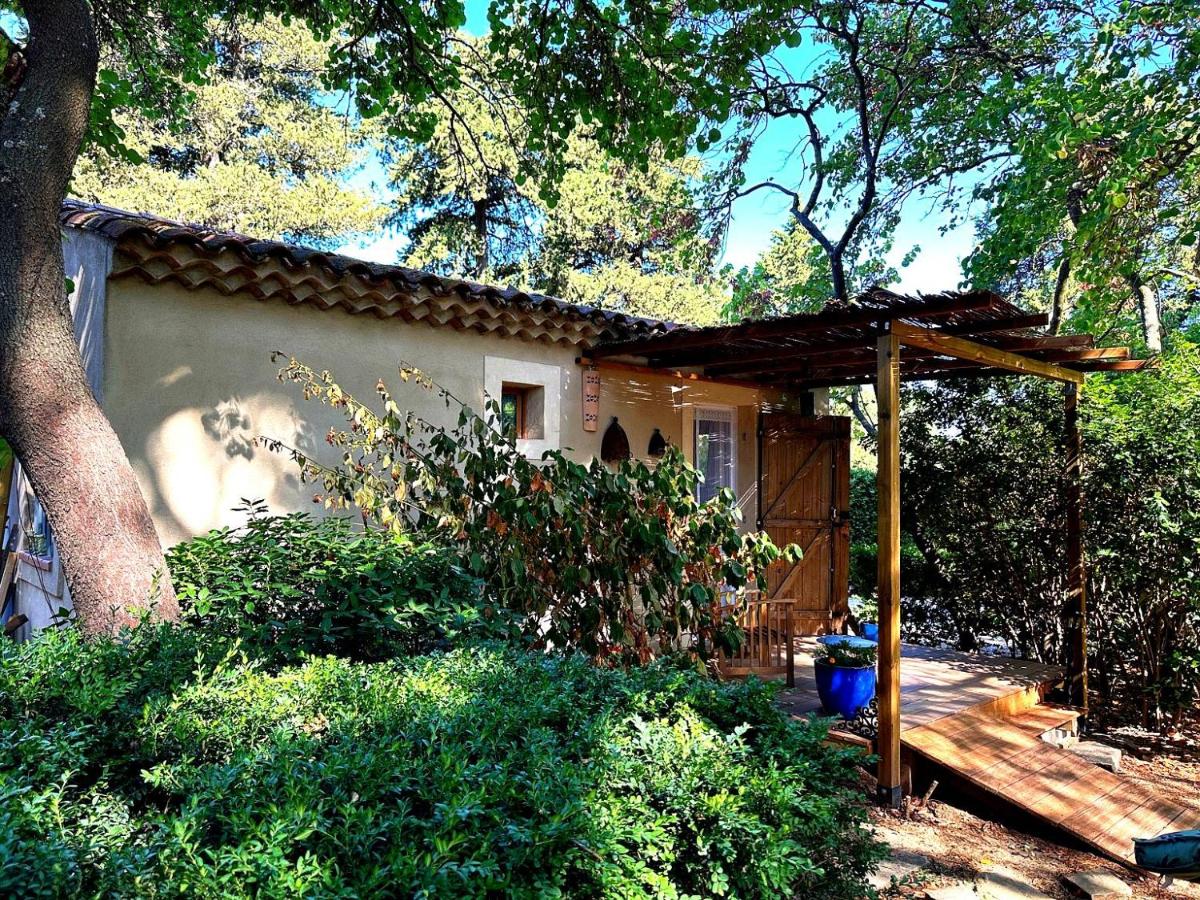 Studio with Garden View - Annex