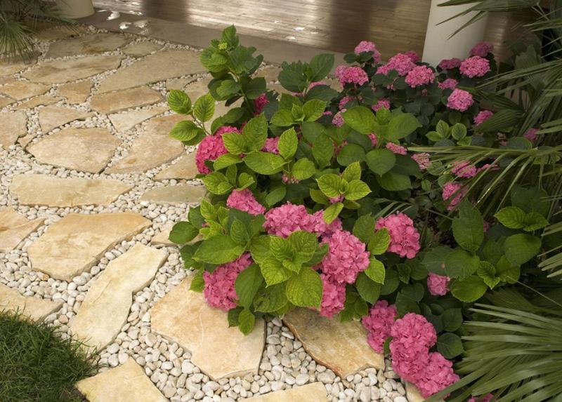 Villa la Perla - B&B