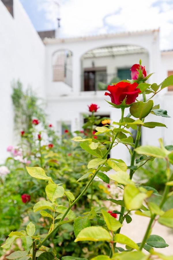 Casas De Les Roses - B&B Orba