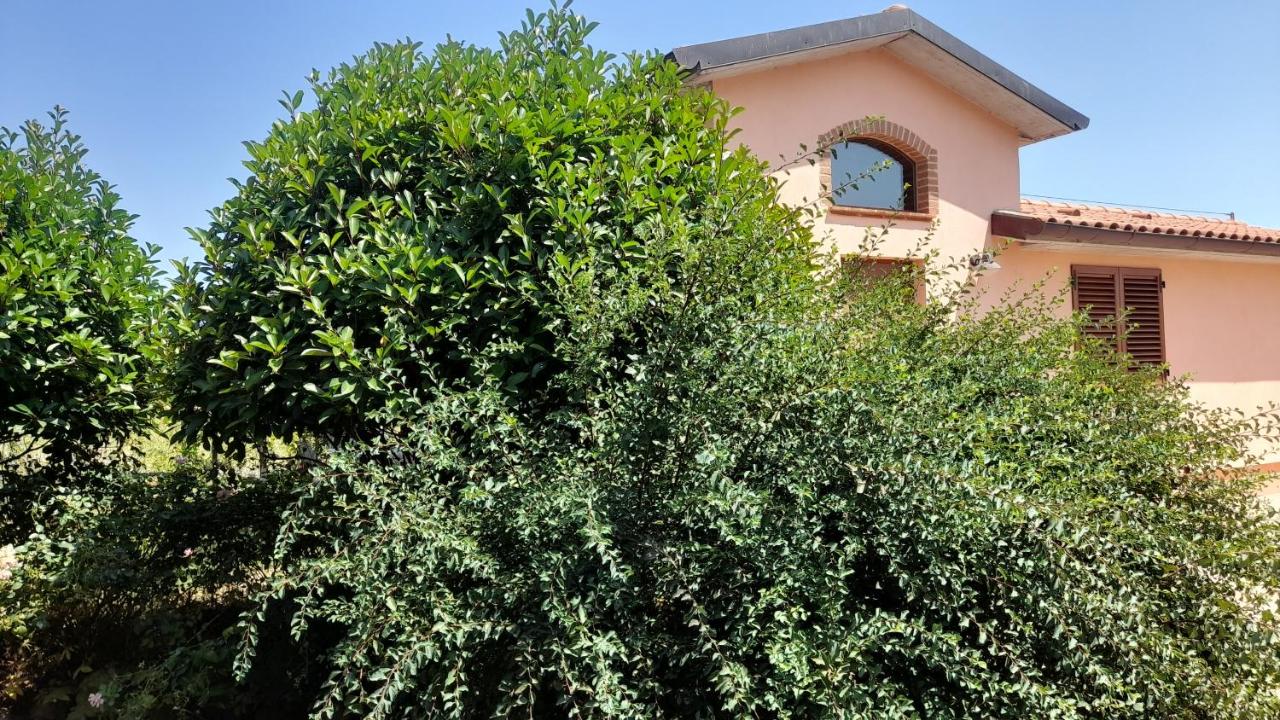 Montepulciano - La Casetta del Pian delle Noci - B&B Acquaviva