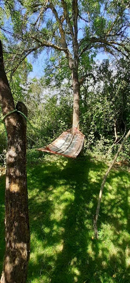 Maison indépendante à la campagne proche centre urbain - Ferienwohnung Muret