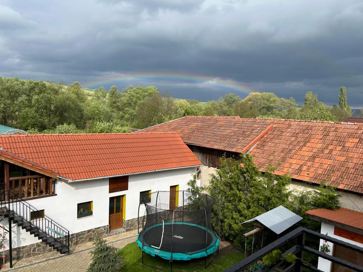 Casa "La Moara din Grădină" - Chambres d’hôtes Eftimie Murgu