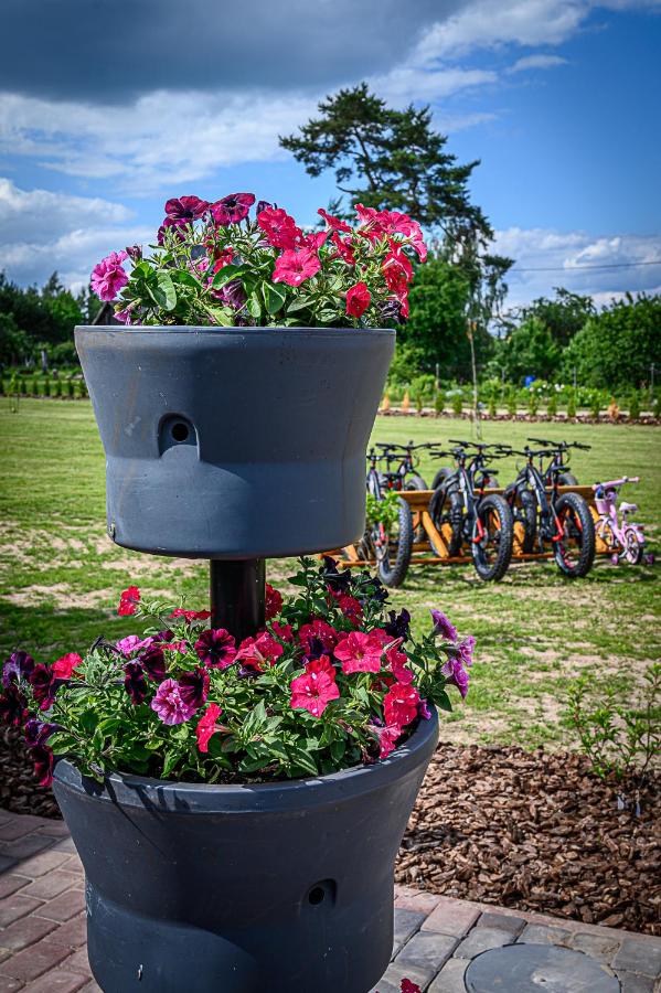 Lüübnitsa Külalismaja - B&B Lüübnitsa