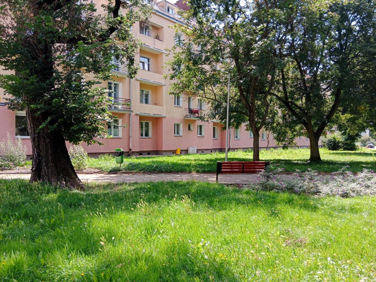 Apartament - Elbląg - B&B
