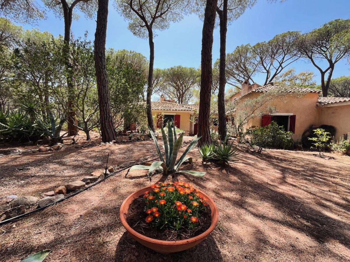 Villa Giuva - B&B