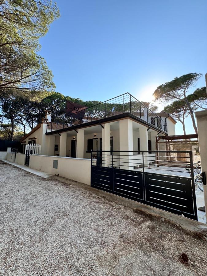 Domus Lucia 1 - B&B
