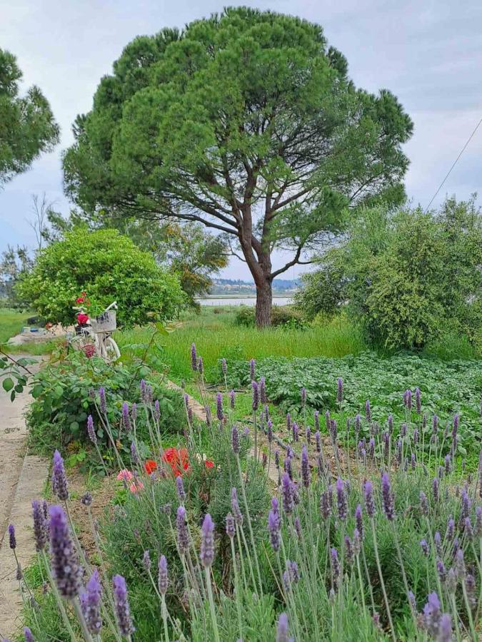 Corfu Lake Oasis - B&B