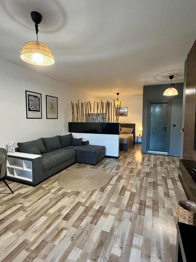 Apartment mit 1 Schlafzimmer