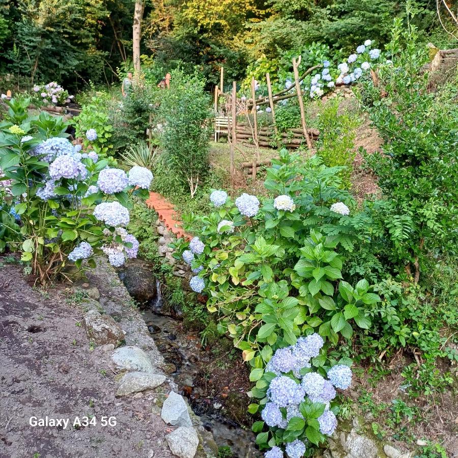 La casetta nel verde - B&B