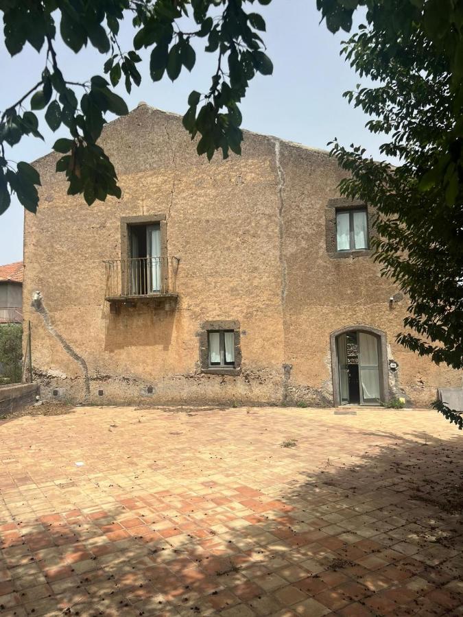 La vigna di Maggi - B&B Randazzo