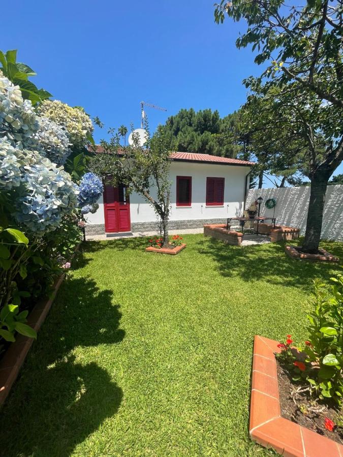 La Casa delle Ortensie Guest House - Bed and Breakfast