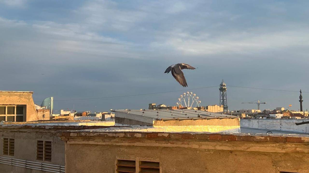 Atico Central con Terraza - B&B