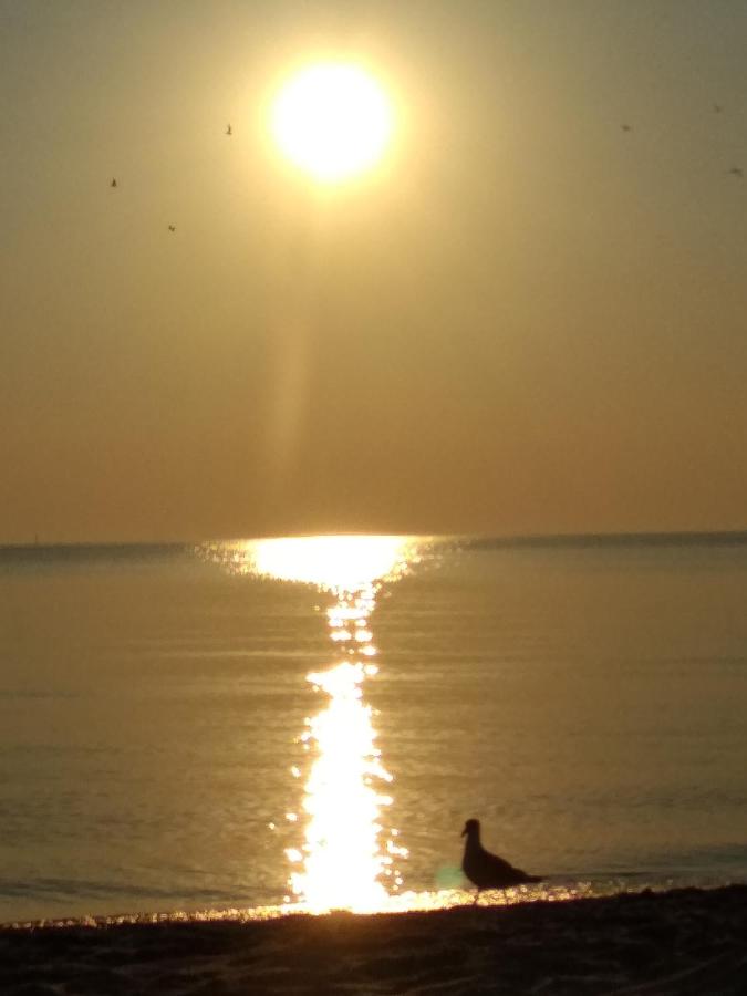 Spacerem nad morze - Ferienwohnung Danzig