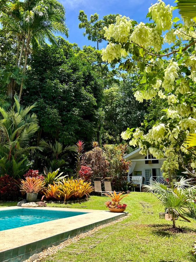 Ginger and Cacao, Luxury Villas and Cottage with Pool and Ocean Views - B&B
