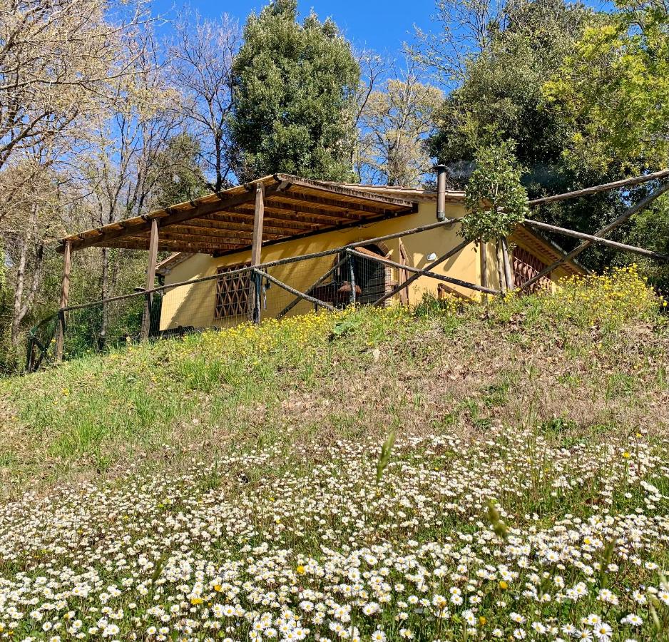 Casa Vacanze con 1 Camera da Letto (2 Adulti + 2 Bambini)