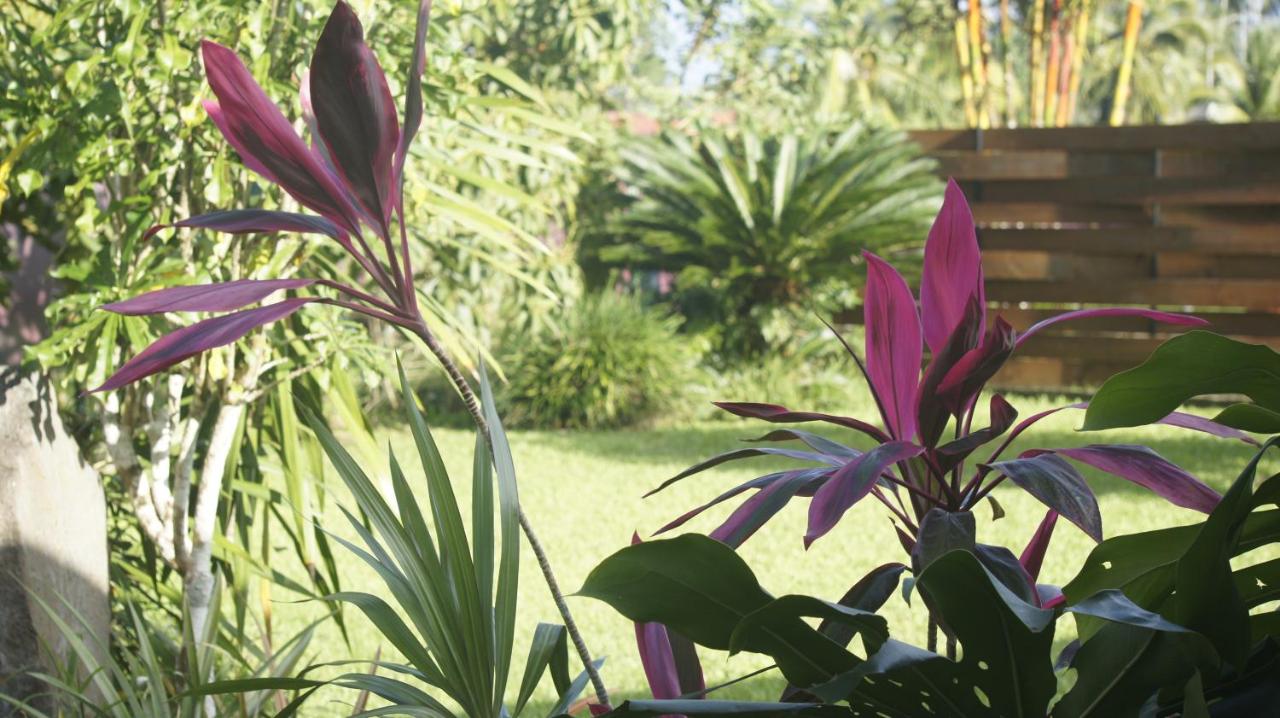 Teonetere Iti - B&B Teahupoo