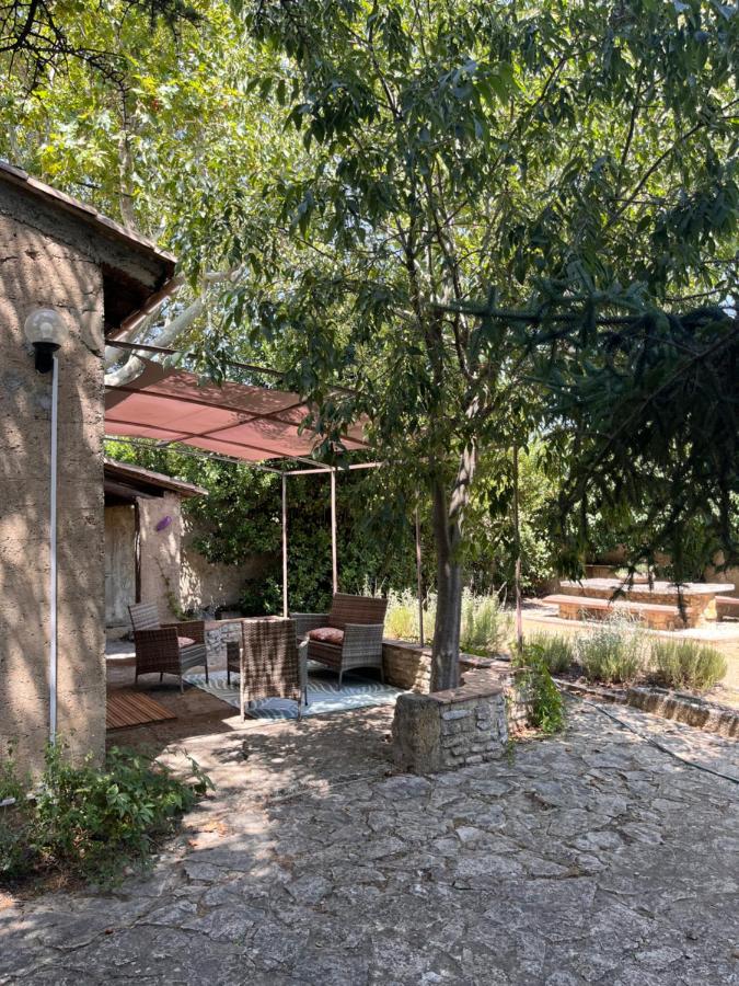 Studio indépendant avec jardin - B&B
