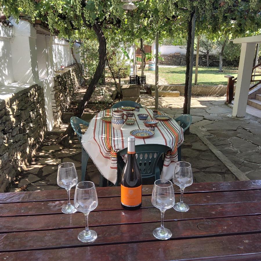 House Sleeps 6-Garden-FreeParking-Bbq-Patio-PetsOk - Chambres d’hôtes Ognen