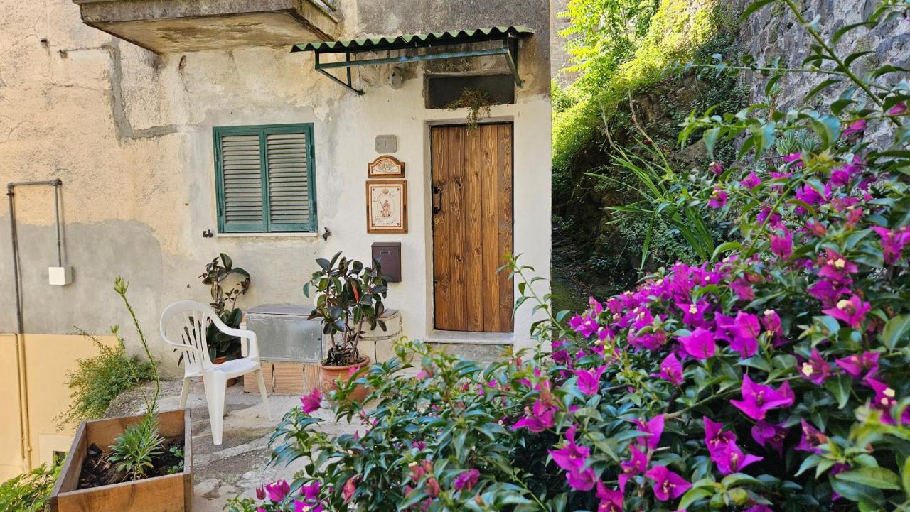 Appartamento nel Borgo - Casa del Pellegrino sulla Via Francigena - Ferienwohnung