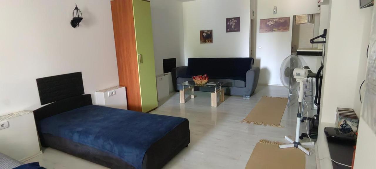 DIVLJI RAJ studio - B&B