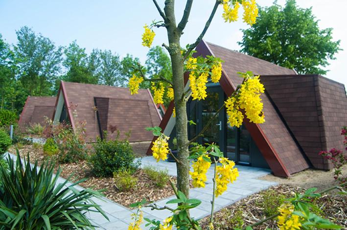 Bij Het BuitenGoed - B&B