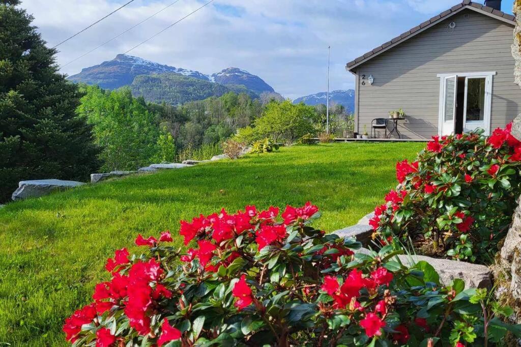 Shelby's Home - B&B