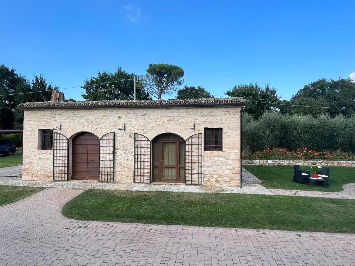 B&B L'Ulivo Incantato - B&B