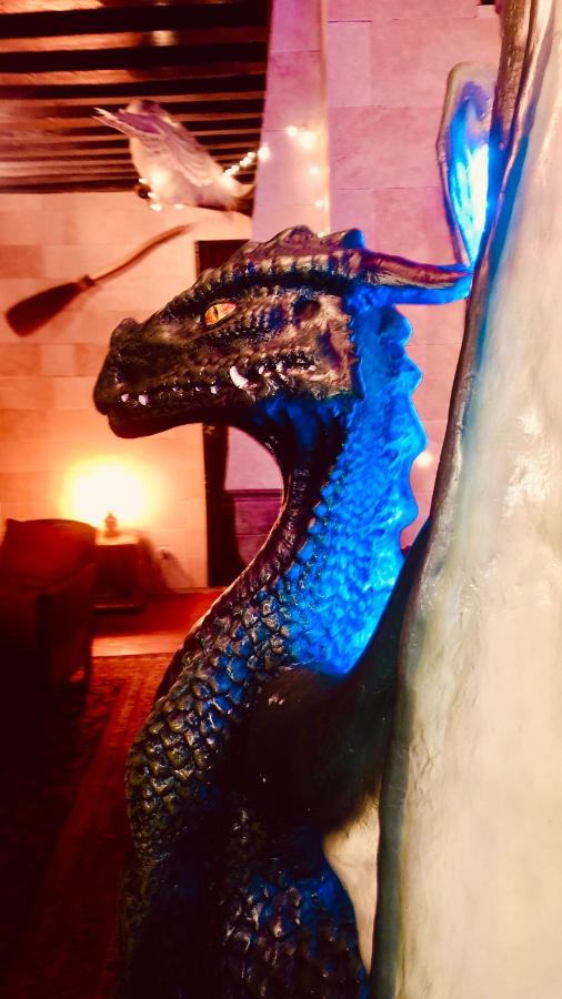 "appartementdusorcier" Magique expérience & Parking - B&B Digione