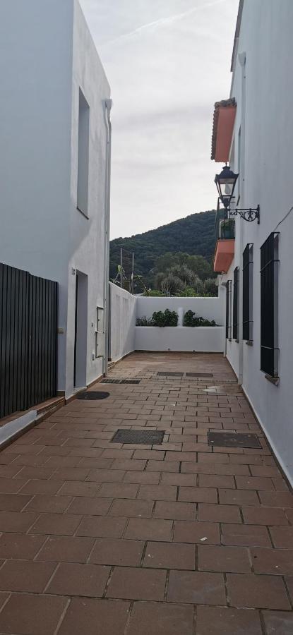 El rincón de los alcornocales - B&B Alcalá de los Gazules