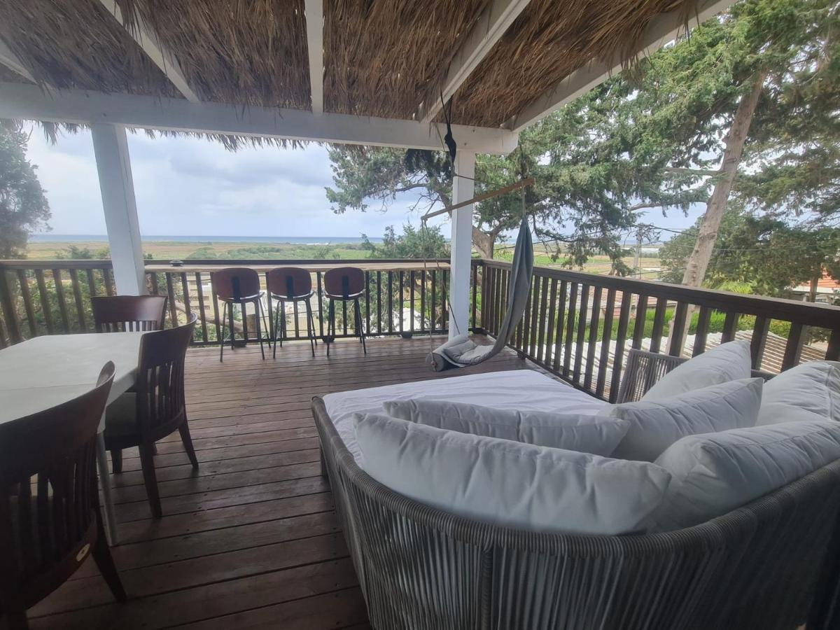 Tree and Sea View - B&B