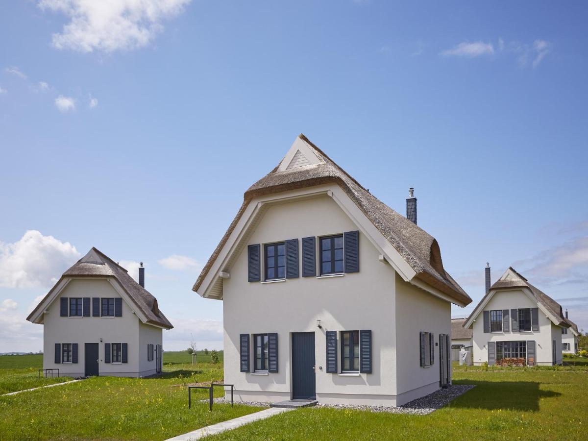 Reetland am Meer - Premium Reetdachvilla mit 3 Schlafzimmern, Sauna und Kamin F09 - Chambres d'hôtes Dranske