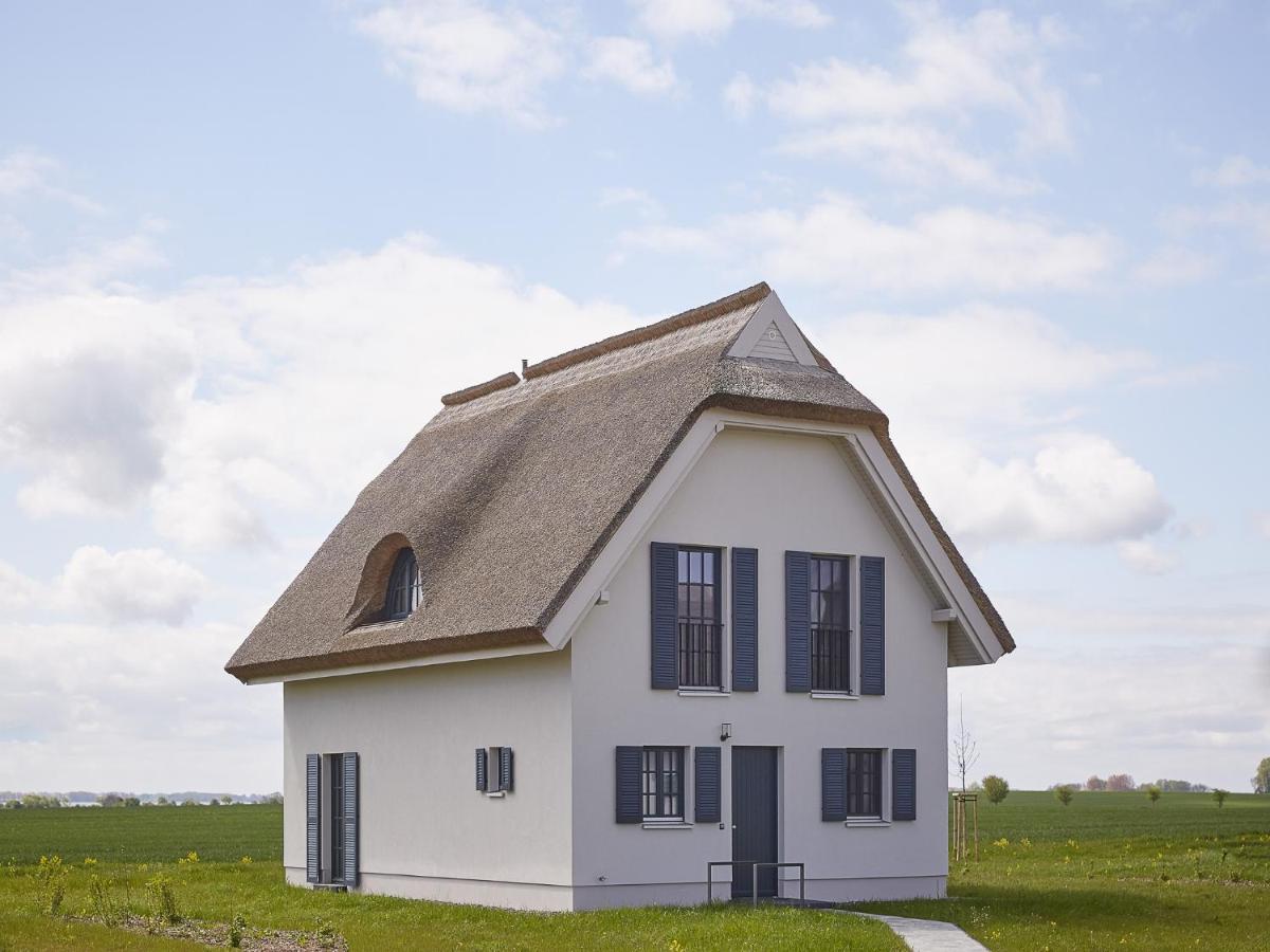 Reetland am Meer - Luxus Reetdachvilla mit 3 Schlafzimmern, Sauna und Kamin F11 - Chambres d'hôtes Dranske