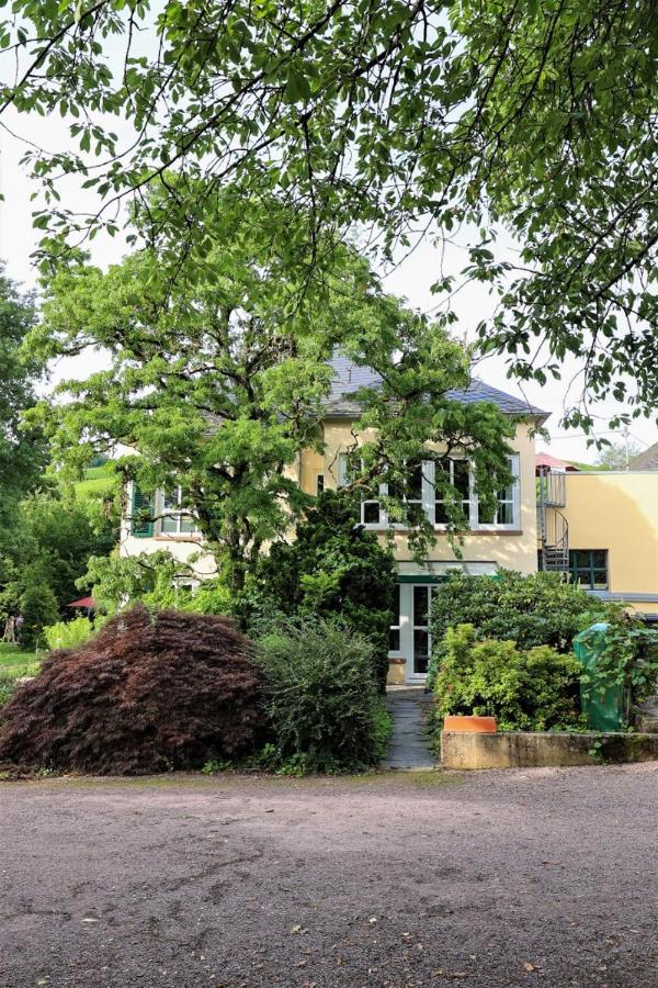 Saarwein Gut in Wiltingen - B&B Wiltingen