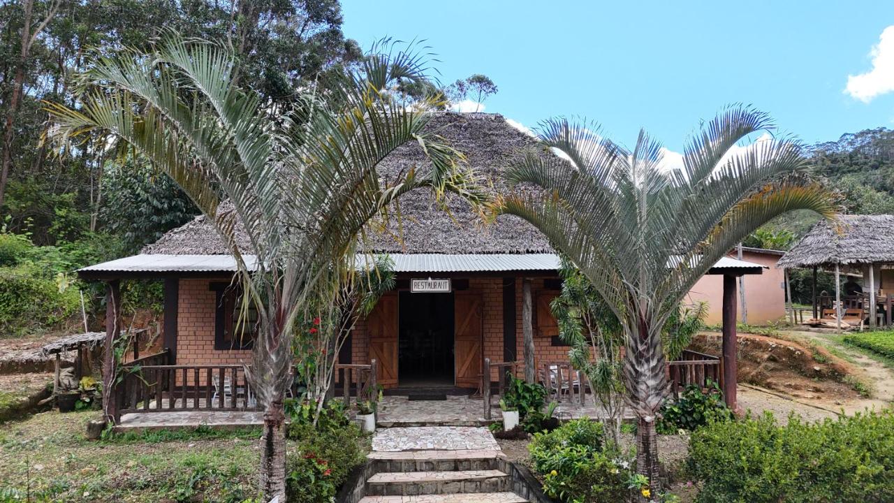 Amoron'ny Ala - B&B