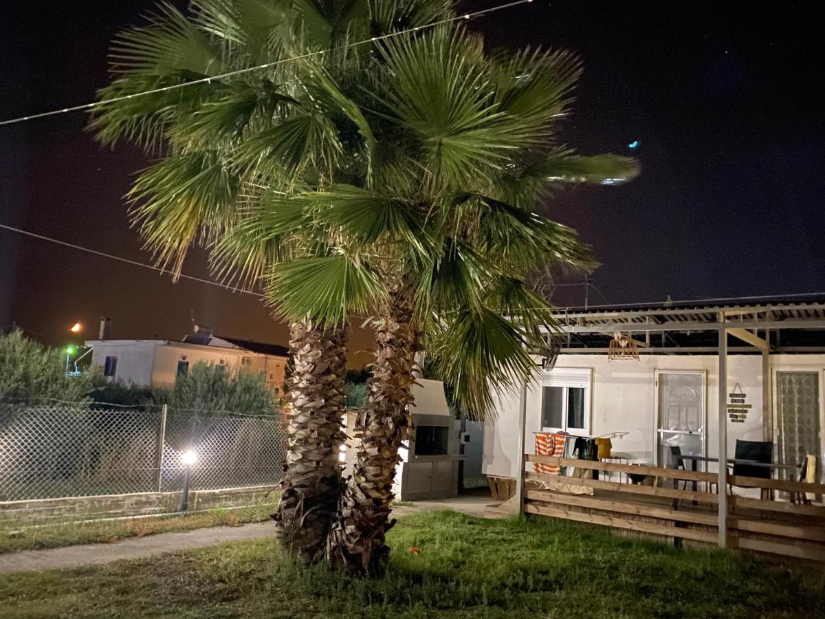 New Palm Bungalows in Kariani - B&B